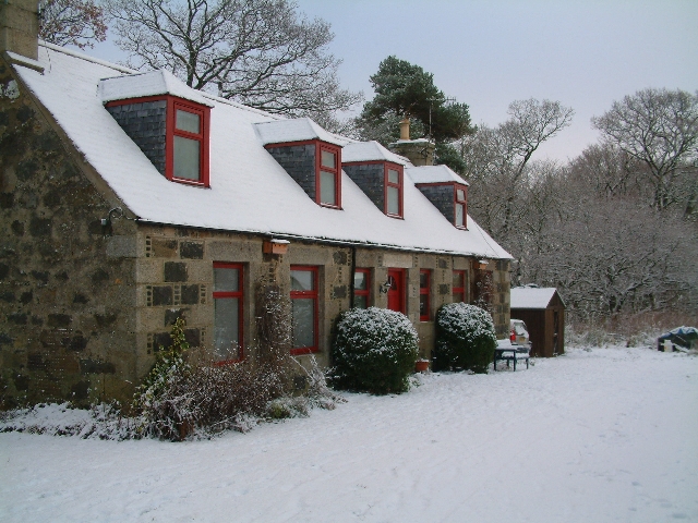Cottage Winter